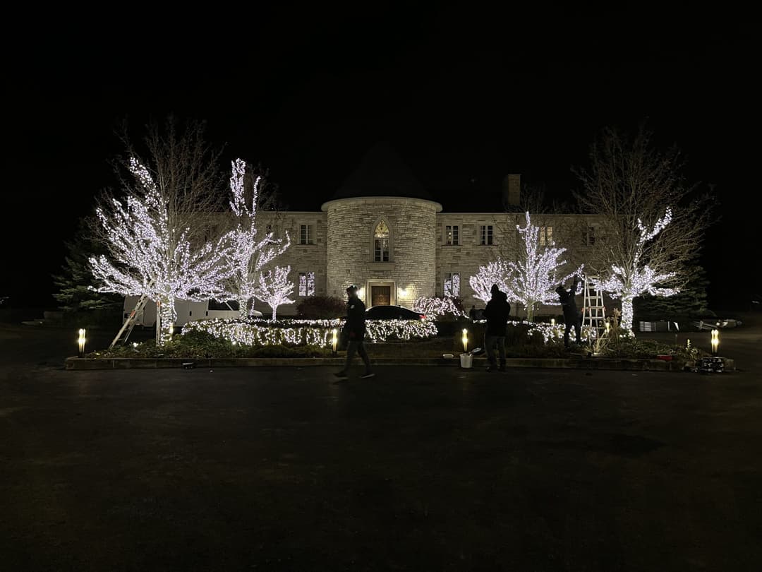 20" 59" LED LIGHT TREE - Mini Lights from Holiday Light Supplies, Ontario