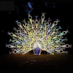 Majestic Peacock 7.5' x 4.9' - Animals from Holiday Light Supplies, Ontario