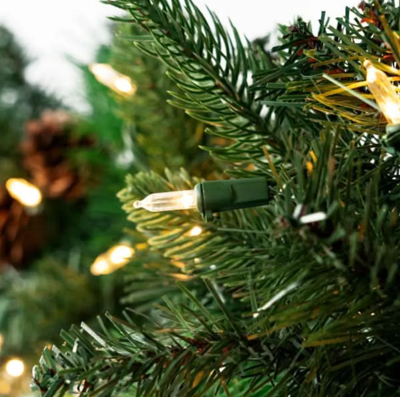 Scotch Pine Garland — 10 ft x 12 in — commercial Christmas lighting from Holiday Light Supplies