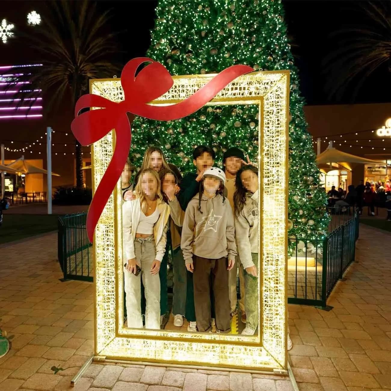 Hanna Photo Frame — commercial Christmas lighting from Holiday Light Supplies