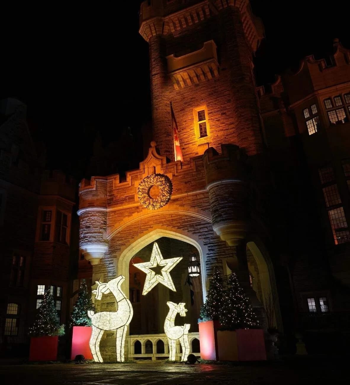 3D light displays — commercial Christmas lighting from Holiday Light Supplies