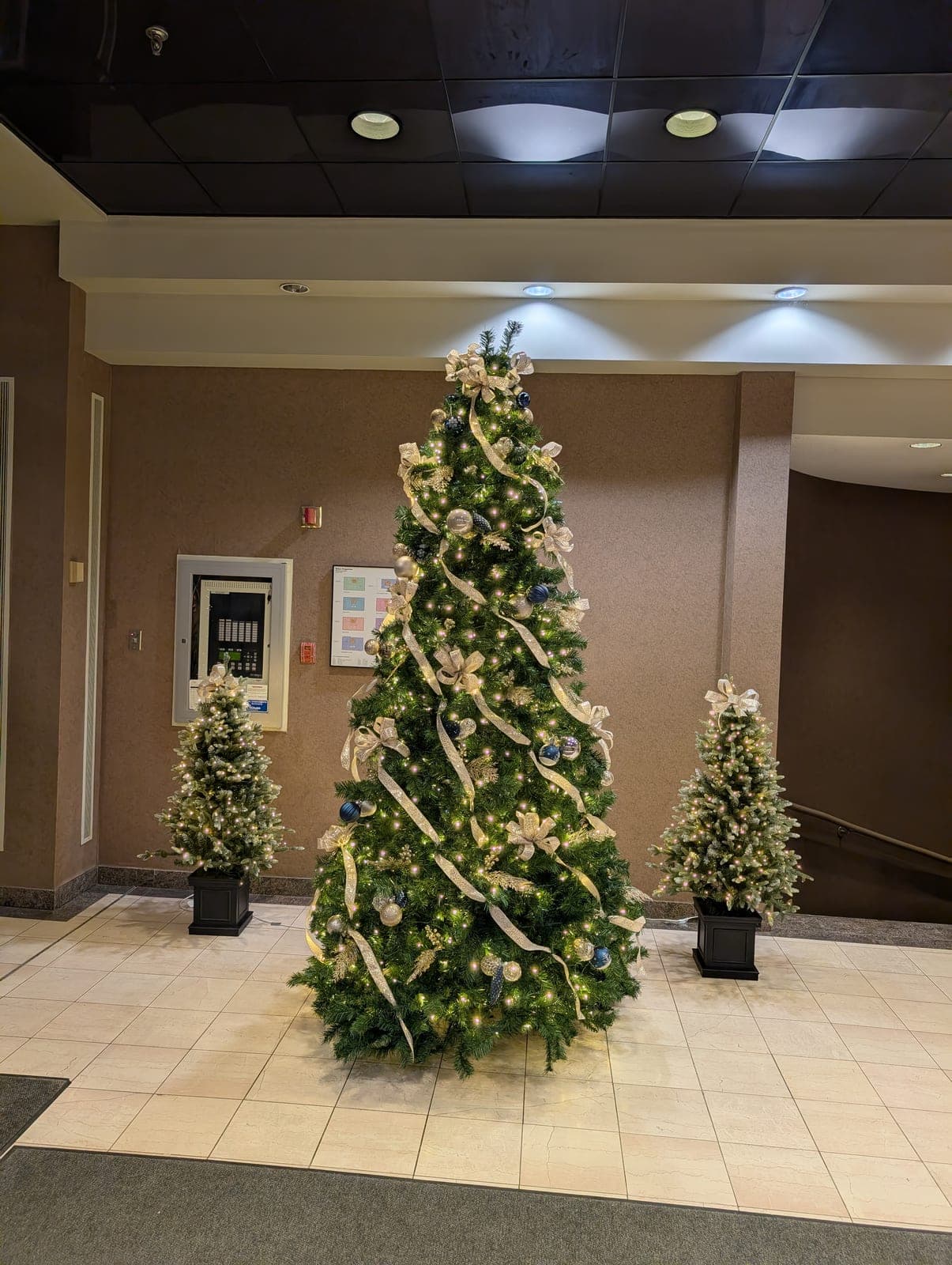 Symmetrical commercial lobby holiday display with a tall decorated tree between two lit accent trees