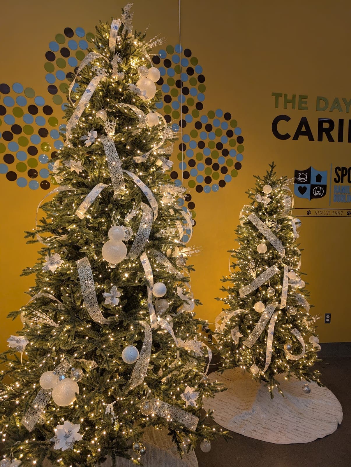 Pair of elegantly decorated warm-white Christmas trees with silver ribbon in a commercial lobby