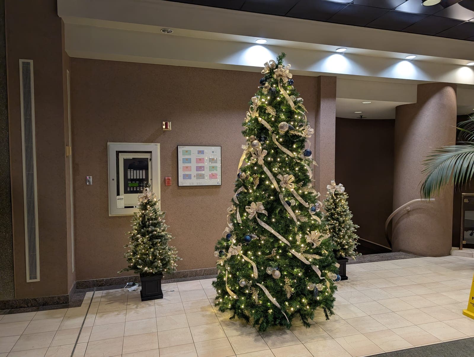 Elegant office lobby Christmas tree with gold ribbon and warm-white lights beside two accent trees