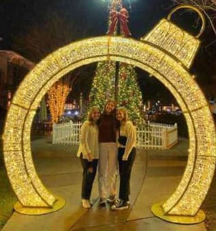 3D LED Ornament Ring Arch, gold